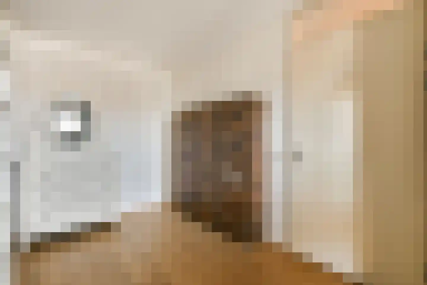 Joos Banckersplantsoen 116 Amsterdam thumbnail 15
