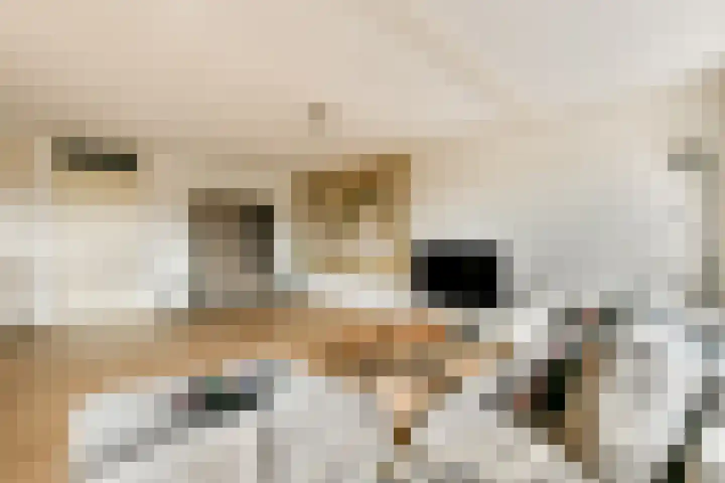 Joos Banckersplantsoen 116 Amsterdam thumbnail 6