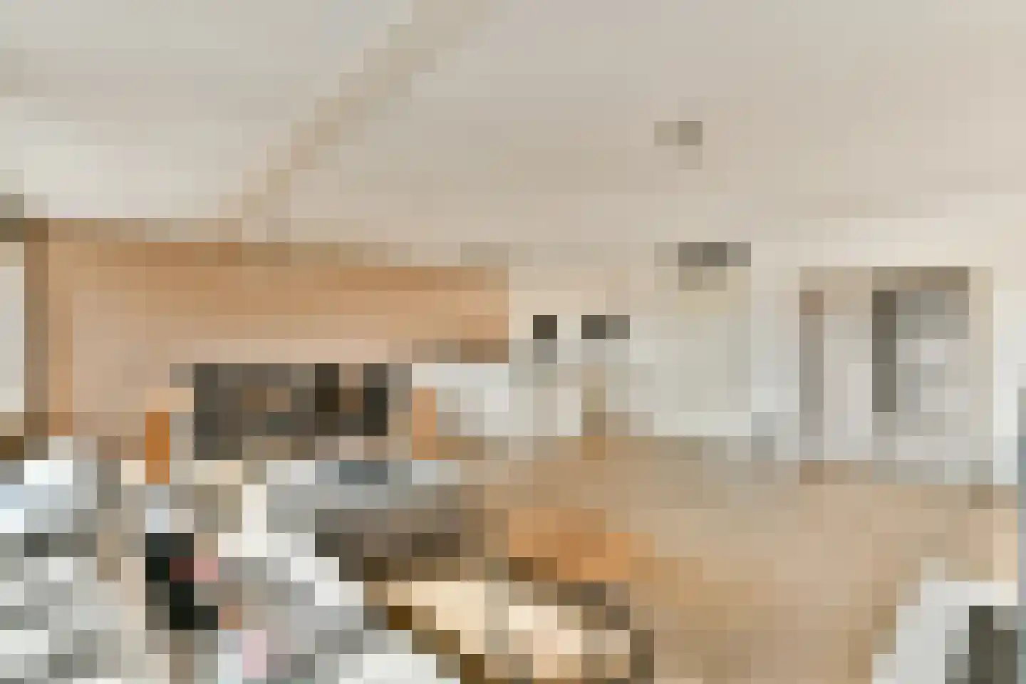 Joos Banckersplantsoen 116 Amsterdam thumbnail 7