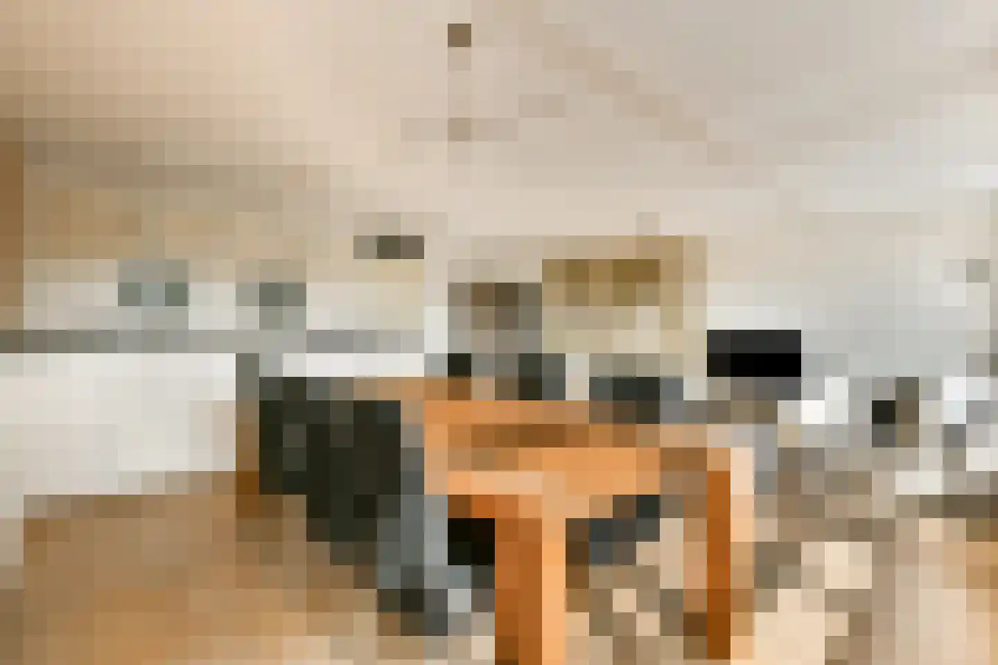 Joos Banckersplantsoen 116 Amsterdam thumbnail 8