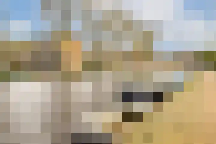 Joos Banckersplantsoen 119 Amsterdam thumbnail 26