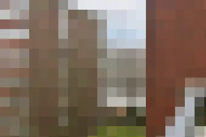 Joos Banckersplantsoen 119 Amsterdam thumbnail 6