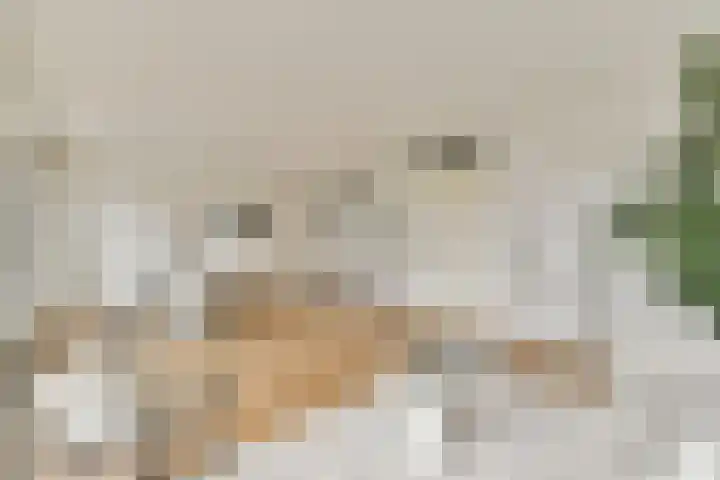 Joos Banckersplantsoen 119 Amsterdam thumbnail 7