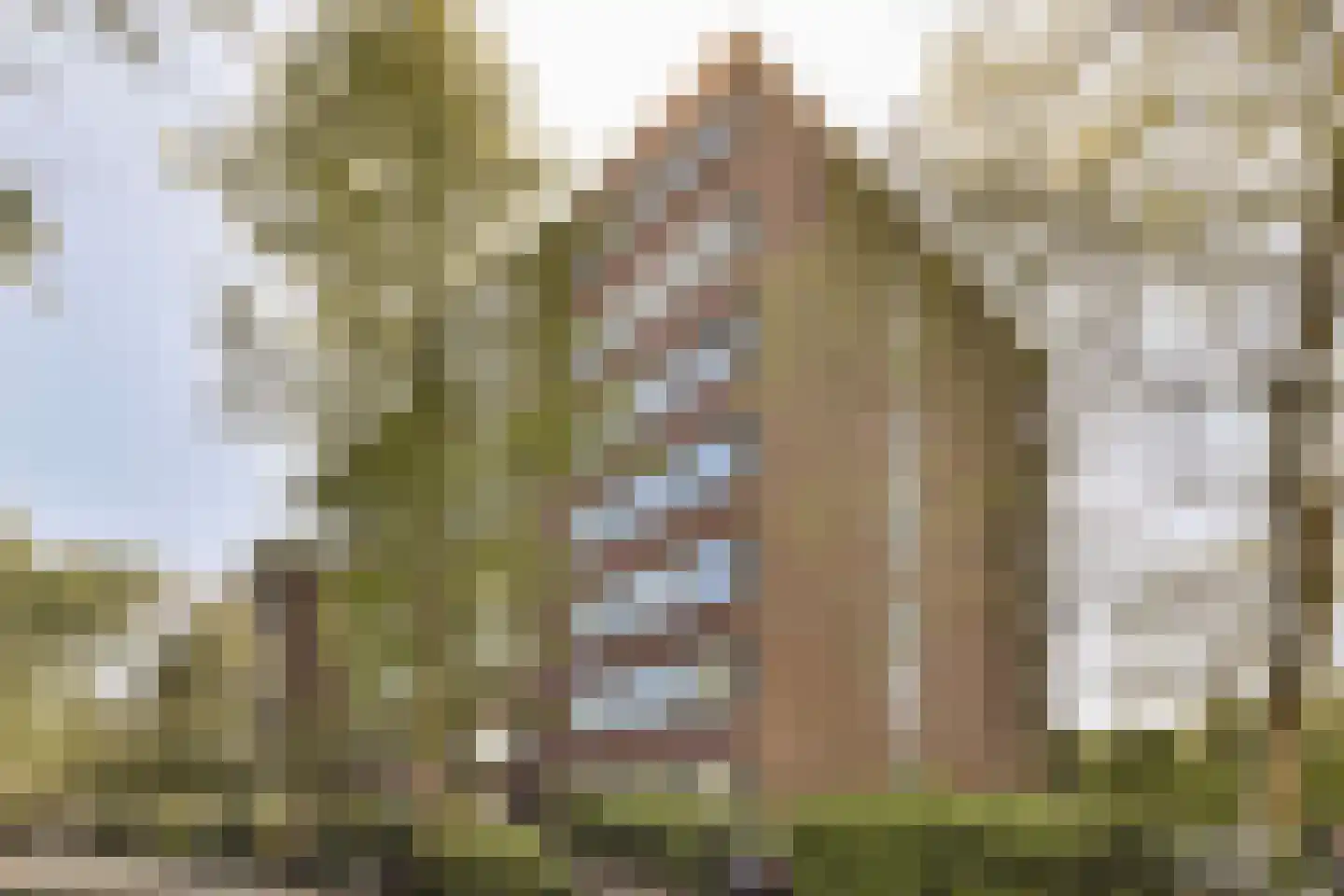 Joos Banckersplantsoen 49 Amsterdam thumbnail 4