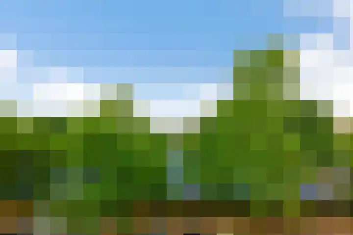 Joos Banckersweg 12 1 Amsterdam thumbnail 10