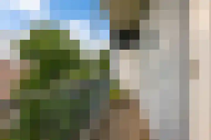 Joos Banckersweg 12 1 Amsterdam thumbnail 17