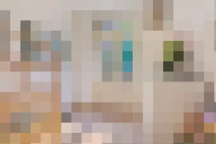 Joos Banckersweg 13 2 Amsterdam thumbnail 12