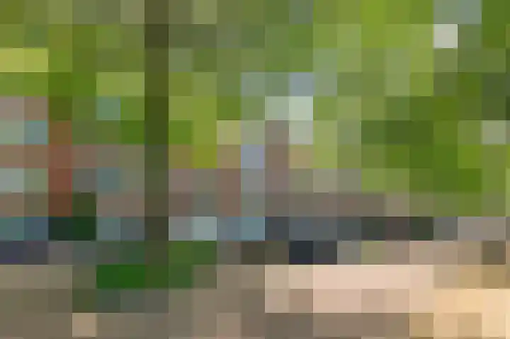 Joos Banckersweg 13 2 Amsterdam thumbnail 32