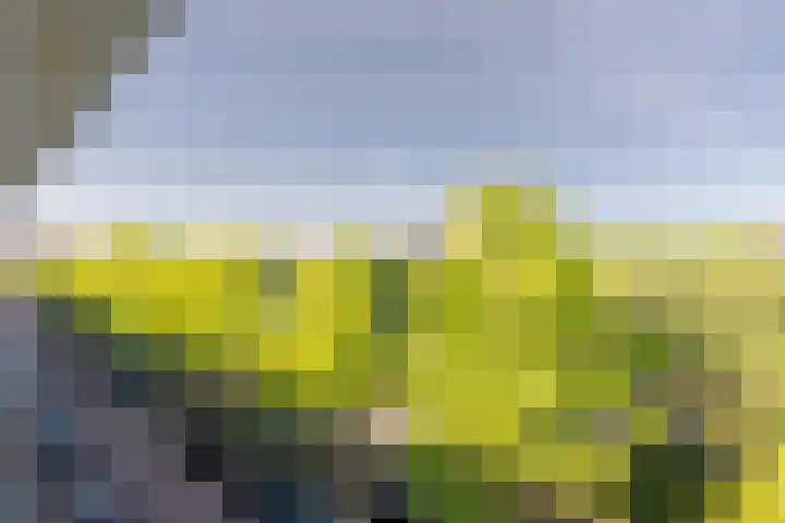 Joos Banckersweg 20 4 Amsterdam thumbnail 19