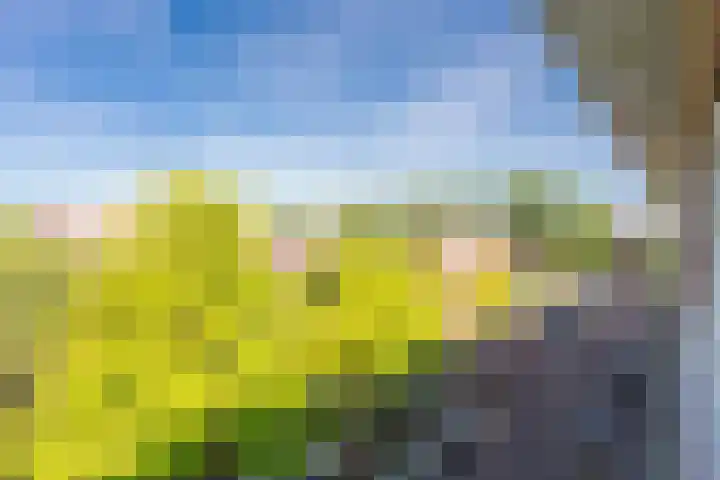 Joos Banckersweg 20 4 Amsterdam thumbnail 20