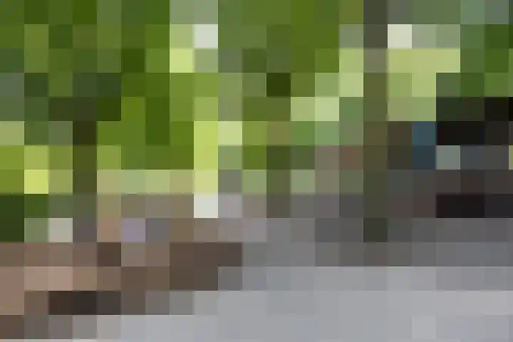 Joos Banckersweg 20 4 Amsterdam thumbnail 26