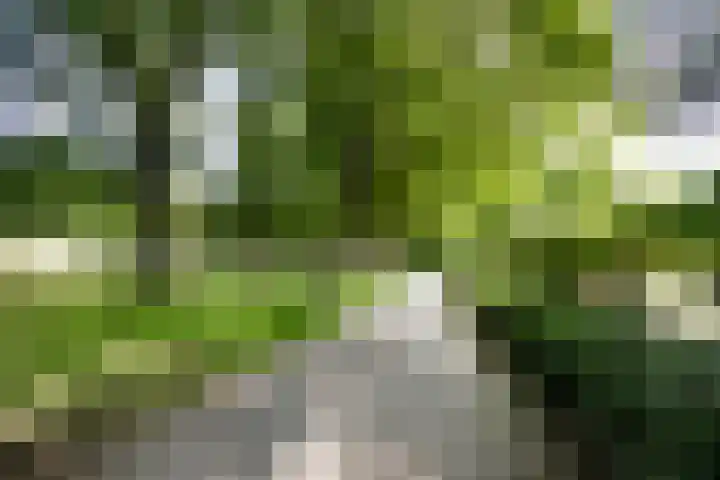Joos Banckersweg 20 4 Amsterdam thumbnail 27