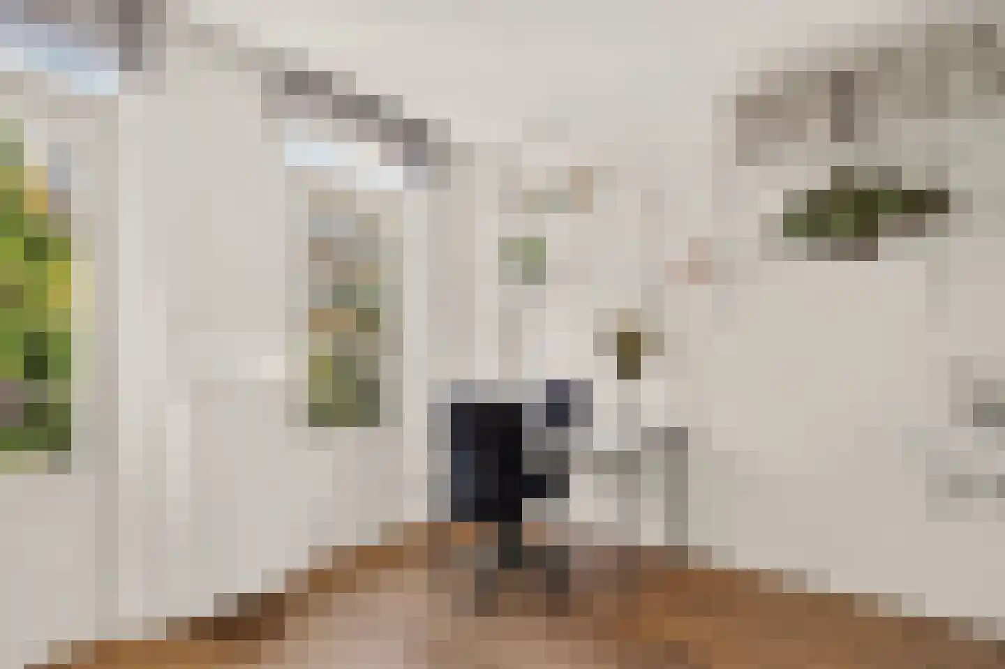 Joos Banckersweg 21 1 Amsterdam thumbnail 25