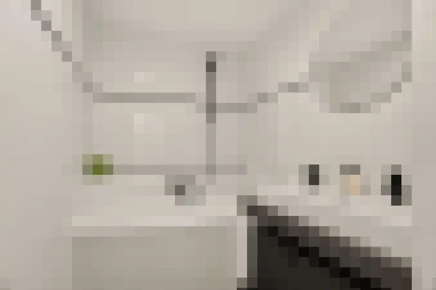Joos Banckersweg 21 1 Amsterdam thumbnail 31