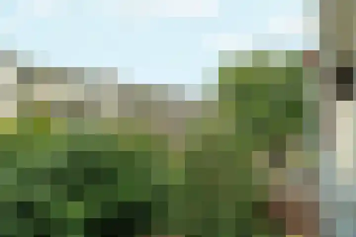 Joos Banckersweg 22 1 Amsterdam thumbnail 19