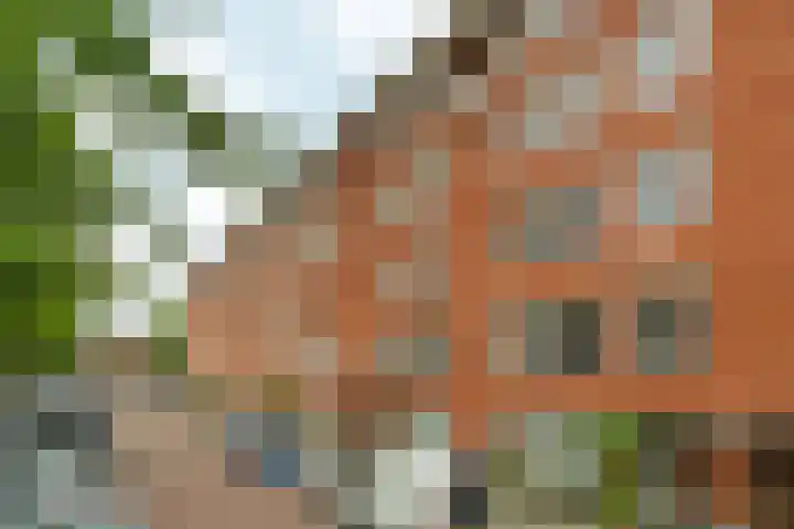 Joos Banckersweg 22 1 Amsterdam thumbnail 27