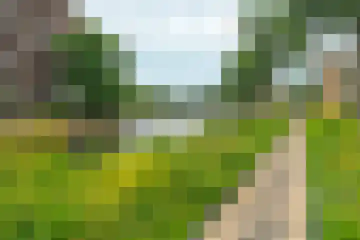 Joos Banckersweg 22 1 Amsterdam thumbnail 31