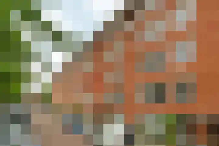 Joos Banckersweg 22 1 Amsterdam thumbnail 38