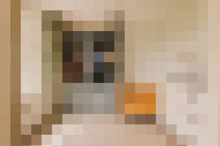 Joos Banckersweg 25 1 Amsterdam thumbnail 10