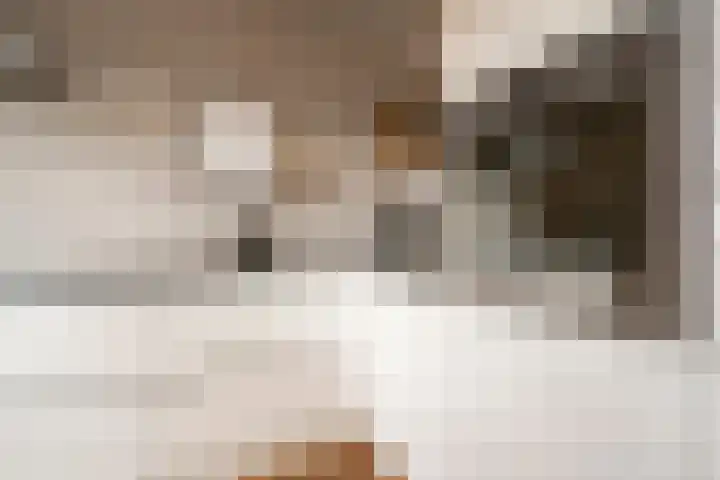 Joos Banckersweg 25 1 Amsterdam thumbnail 11