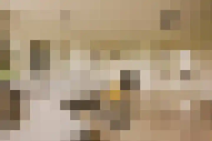 Joos Banckersweg 25 1 Amsterdam thumbnail 12