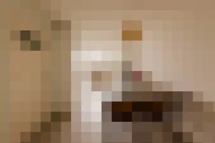 Joos Banckersweg 25 1 Amsterdam thumbnail 13