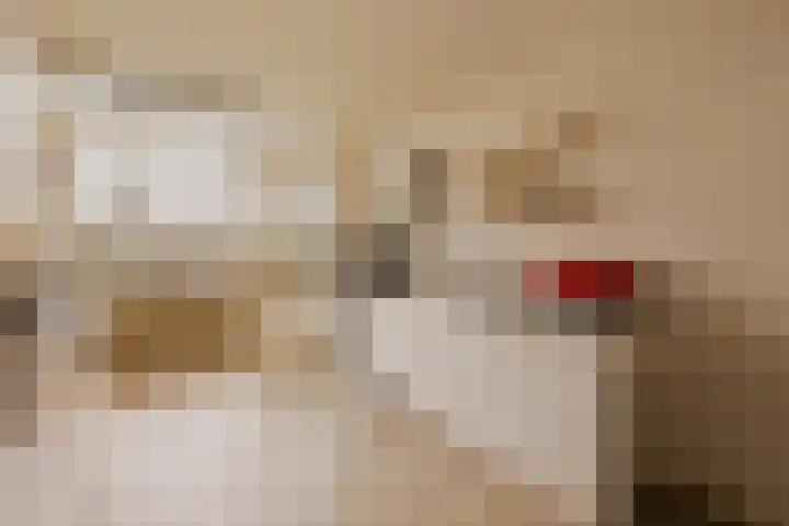 Joos Banckersweg 25 1 Amsterdam thumbnail 15