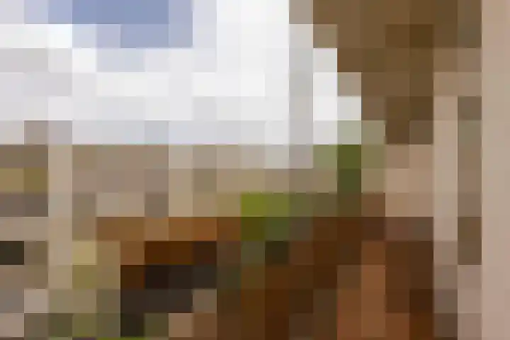 Joos Banckersweg 25 1 Amsterdam thumbnail 16