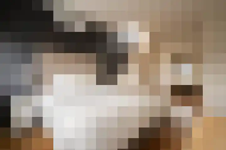 Joos Banckersweg 25 1 Amsterdam thumbnail 16