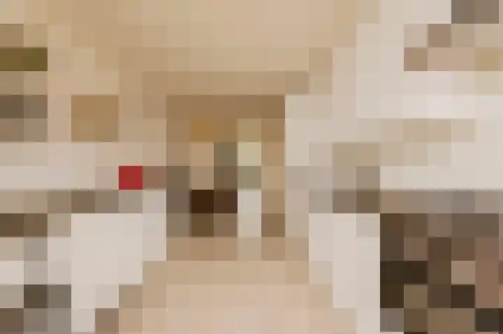 Joos Banckersweg 25 1 Amsterdam thumbnail 17
