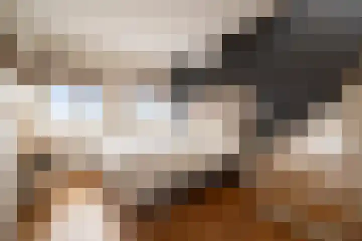 Joos Banckersweg 25 1 Amsterdam thumbnail 17
