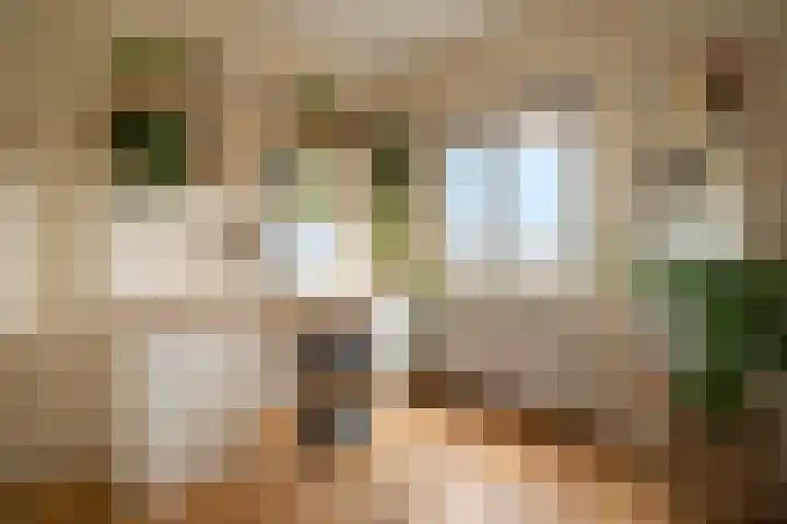 Joos Banckersweg 25 1 Amsterdam thumbnail 18