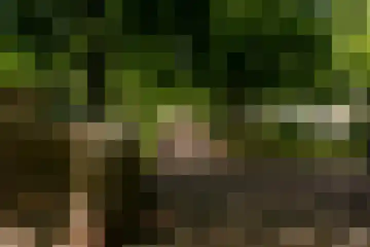 Joos Banckersweg 25 1 Amsterdam thumbnail 24