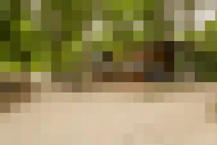 Joos Banckersweg 25 1 Amsterdam thumbnail 27