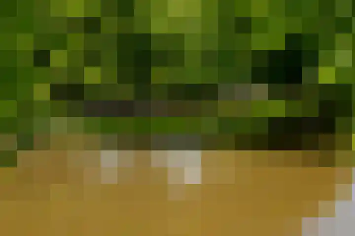 Joos Banckersweg 25 1 Amsterdam thumbnail 28