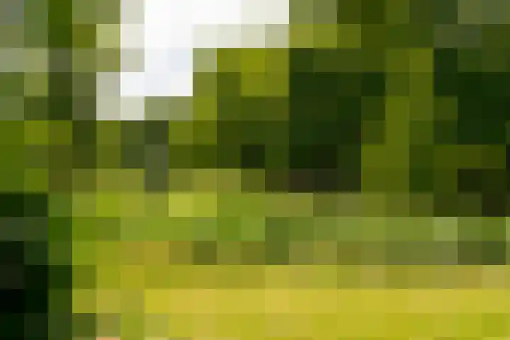 Joos Banckersweg 25 1 Amsterdam thumbnail 31