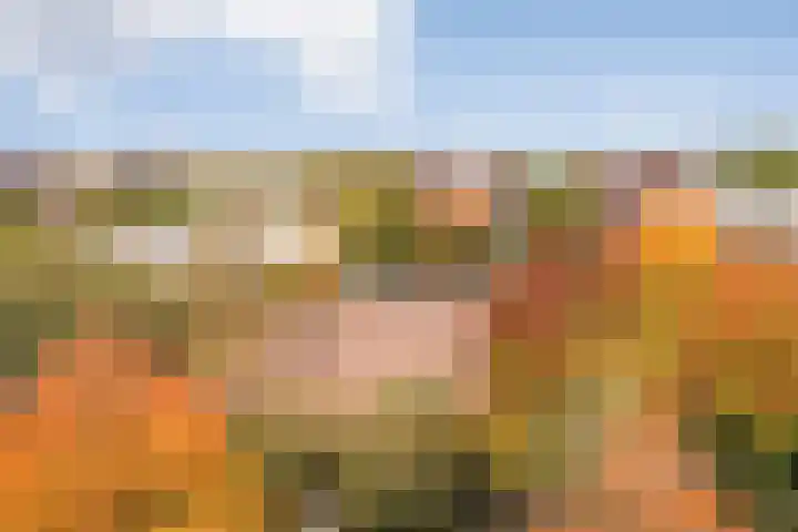 Joos Banckersweg 25 1 Amsterdam thumbnail 34
