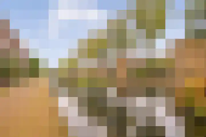 Joos Banckersweg 25 1 Amsterdam thumbnail 38