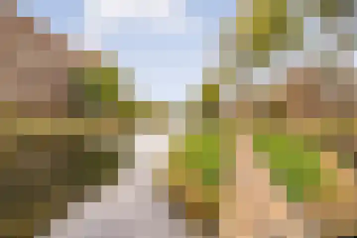 Joos Banckersweg 25 1 Amsterdam thumbnail 39