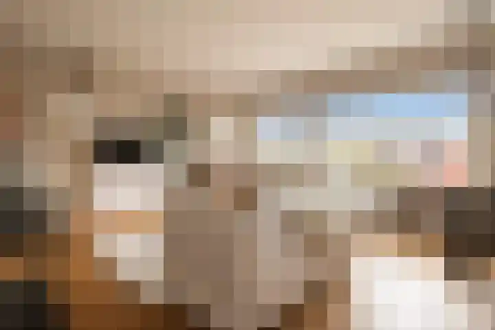 Joos Banckersweg 25 1 Amsterdam thumbnail 4