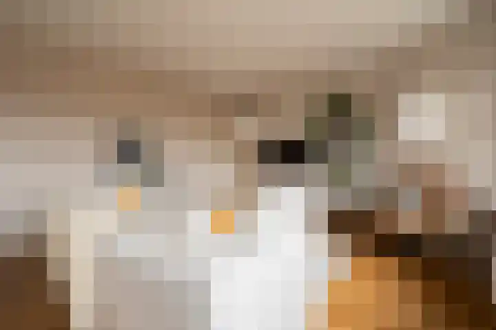 Joos Banckersweg 25 1 Amsterdam thumbnail 6