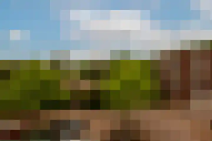 Joos Banckersweg 25 1 Amsterdam thumbnail 8