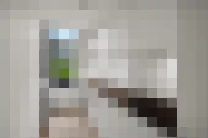 Joos Banckersweg 28 2 Amsterdam thumbnail 15