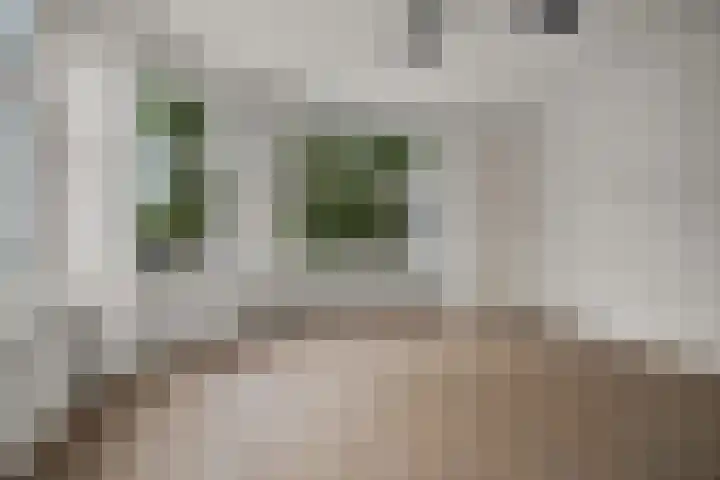 Joos Banckersweg 28 2 Amsterdam thumbnail 4