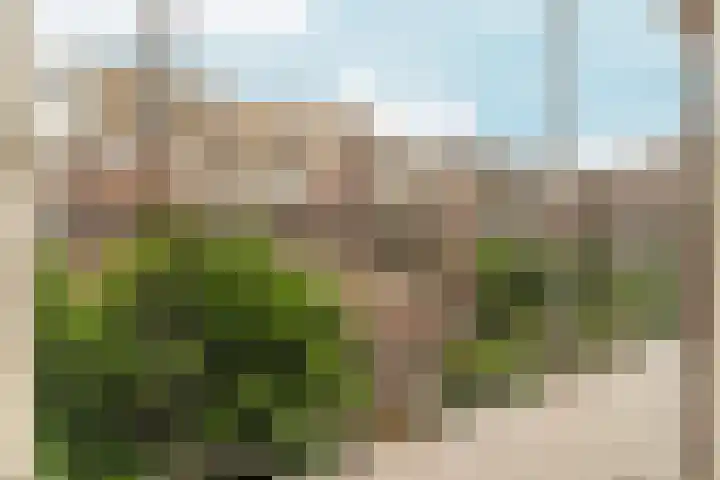 Joos Banckersweg 7 3 Amsterdam thumbnail 15
