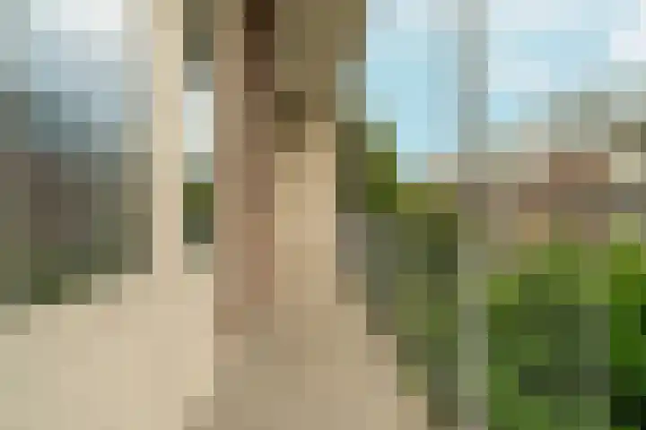 Joos Banckersweg 7 3 Amsterdam thumbnail 16