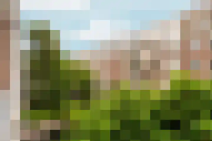 Joos Banckersweg 7 3 Amsterdam thumbnail 17