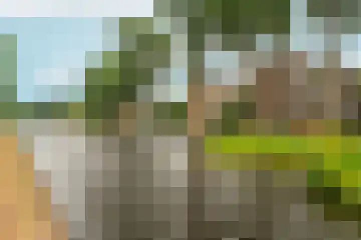 Joos Banckersweg 7 3 Amsterdam thumbnail 32