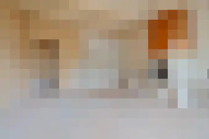 Joos Banckersweg 7 3 Amsterdam thumbnail 6