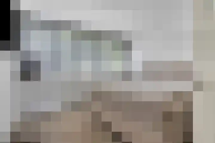 Joos Banckertstraat 14 Best thumbnail 18